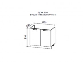 Шкаф нижний ДСМ800 под мойку в Чебаркуле - chebarkul.магазин96.com | фото