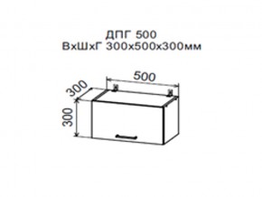 Шкаф верхний ДПГ500 горизонтальный в Чебаркуле - chebarkul.магазин96.com | фото