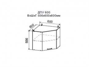 Шкаф верхний ДПУ600 угловой в Чебаркуле - chebarkul.магазин96.com | фото